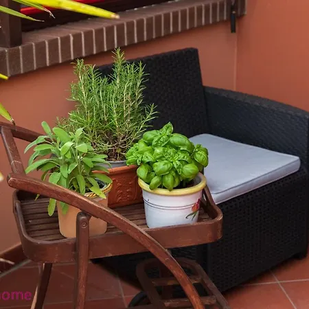 Cimarosa Centro Storico By Yohome Apartment Pesaro